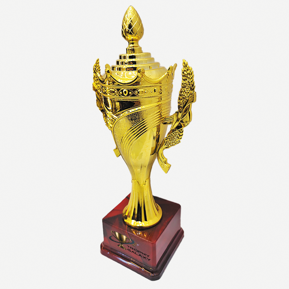 Trophy Galaxy 13.5 & 11.5 Inch Premium Golden Cup Trophy – Elegant Award for Sports, Competitions & Corporate Events