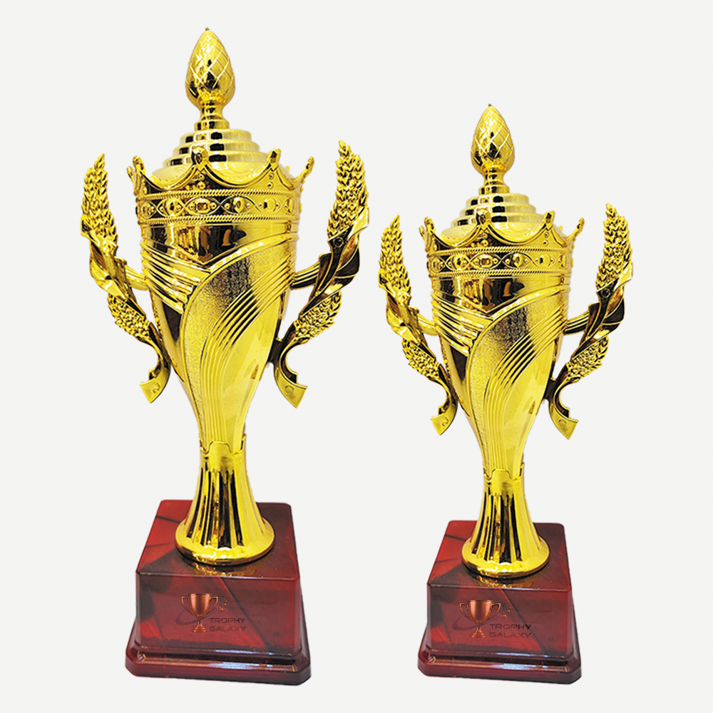 Trophy Galaxy 13.5 & 11.5 Inch Premium Golden Cup Trophy – Elegant Award for Sports, Competitions & Corporate Events
