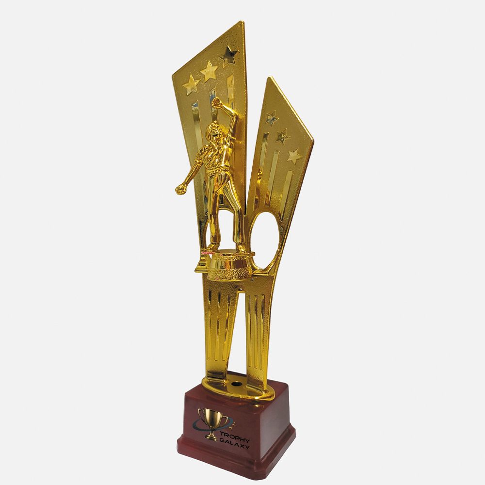 Trophy Galaxy 16 Inch Golden Cricket Trophy – Premium Tall Award for Tournaments & Sports Events