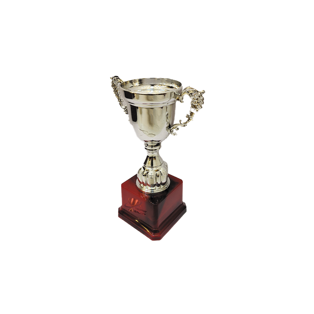 Trophy Galaxy 7 Inch Silver Cup Trophy is a classic and elegant award designed for sports, corporate events, schools, and cultural competitions