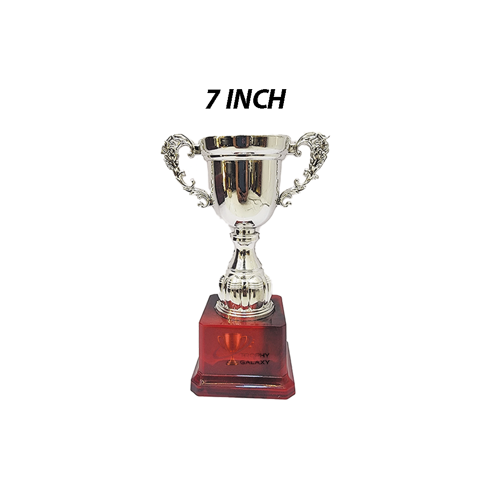 Trophy Galaxy 7 Inch Silver Cup Trophy is a classic and elegant award designed for sports, corporate events, schools, and cultural competitions