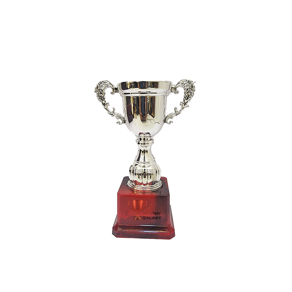 Trophy Galaxy 7 Inch Silver Cup Trophy is a classic and elegant award designed for sports, corporate events, schools, and cultural competitions