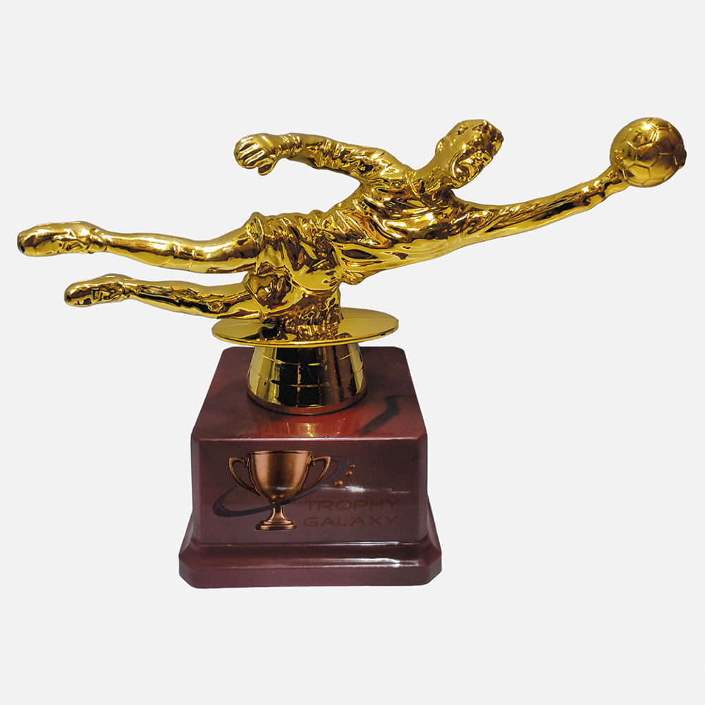 Premium Sports Award