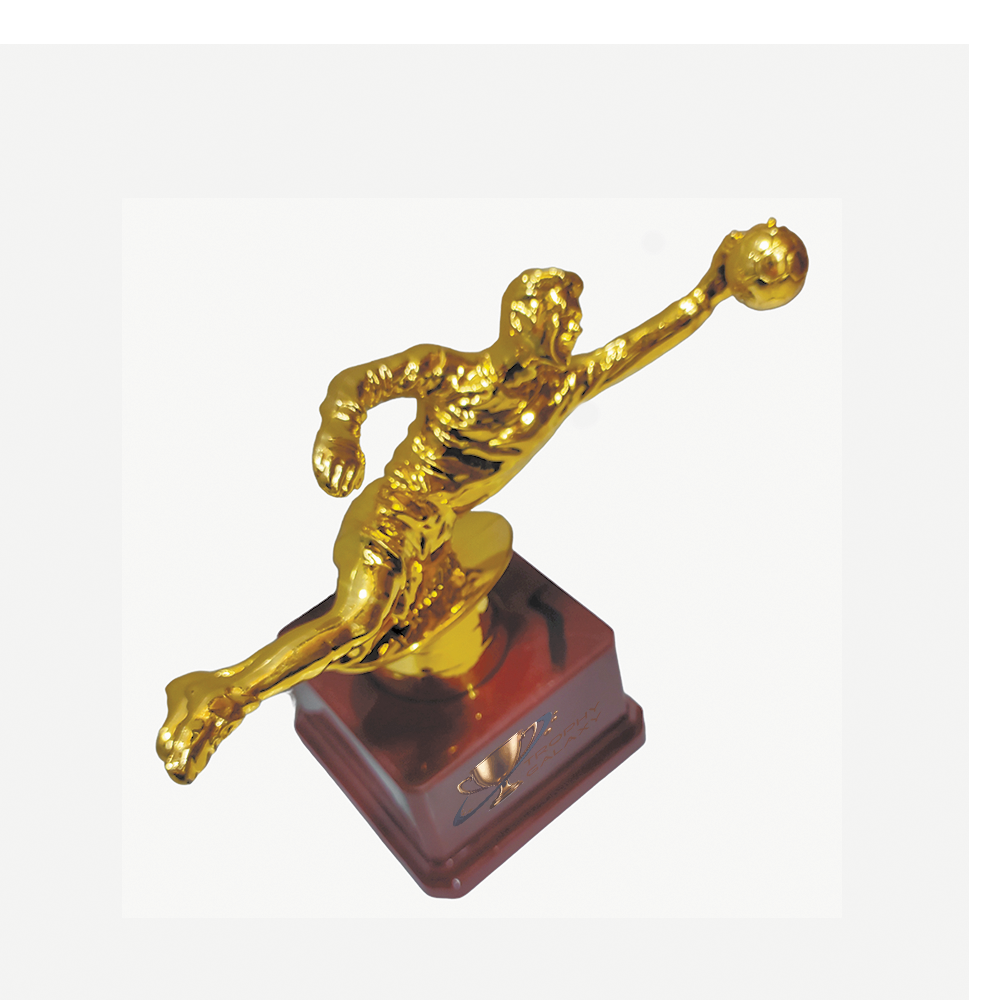 Premium Sports Award