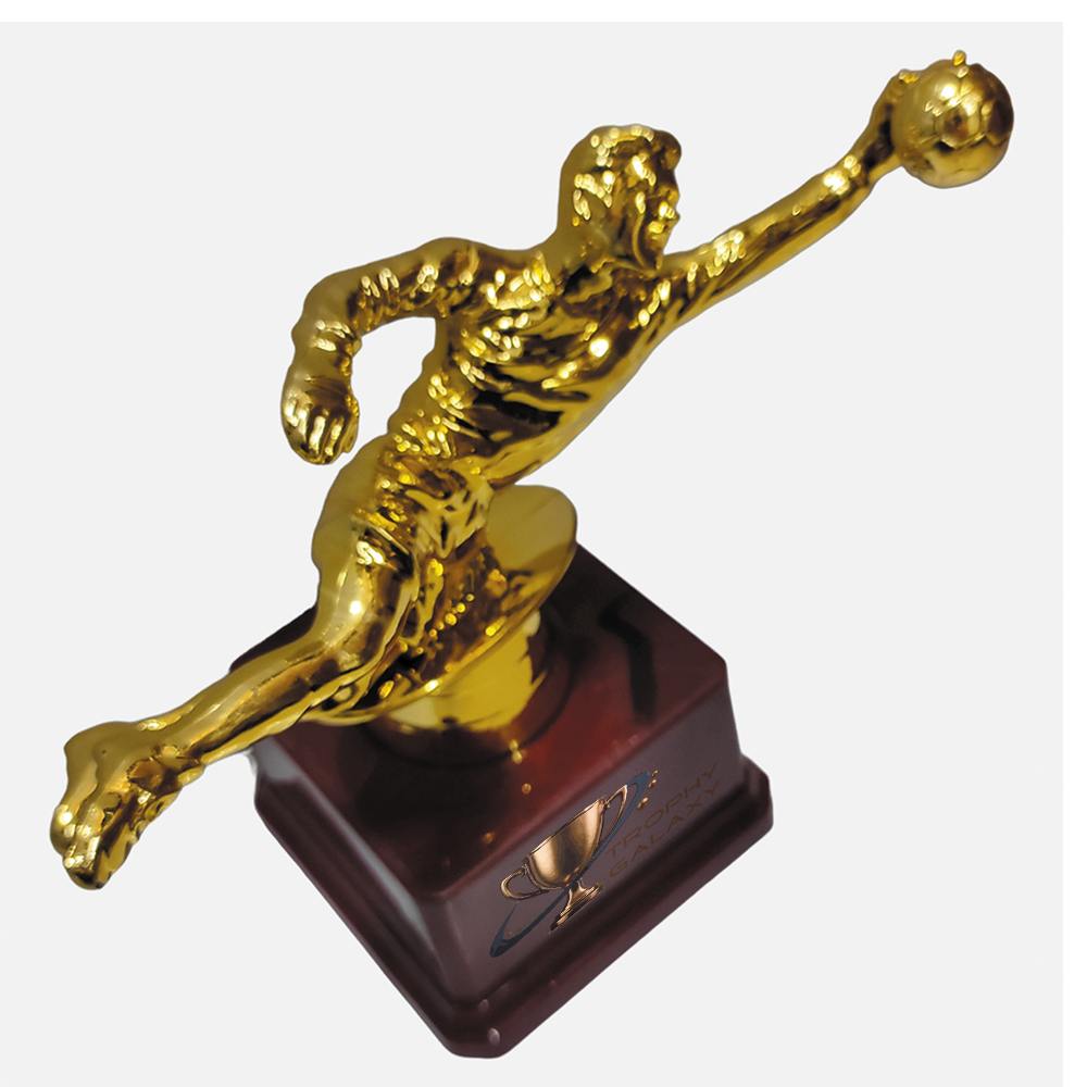 Premium Sports Award