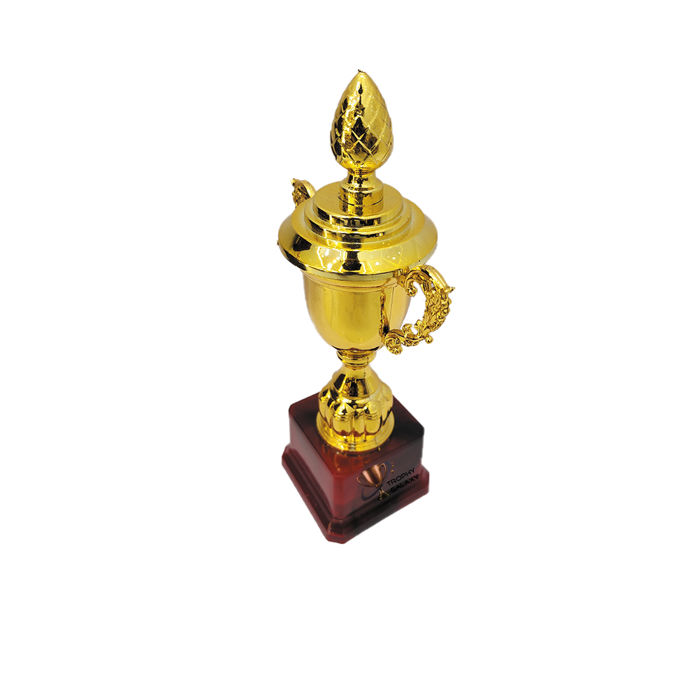 Trophy Galaxy 9 & 10 Inch Golden Cup Trophy – Premium Awards for Sports, Competitions & Corporate Events