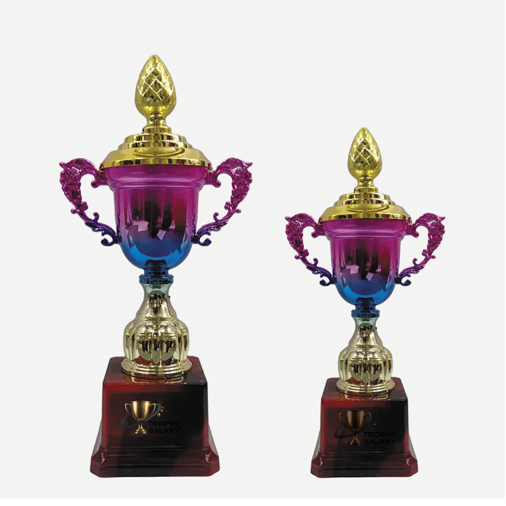 Trophy Galaxy 9 & 10 Inch Premium Cup Trophy – Elegant Award for Sports, Competitions & Corporate Events