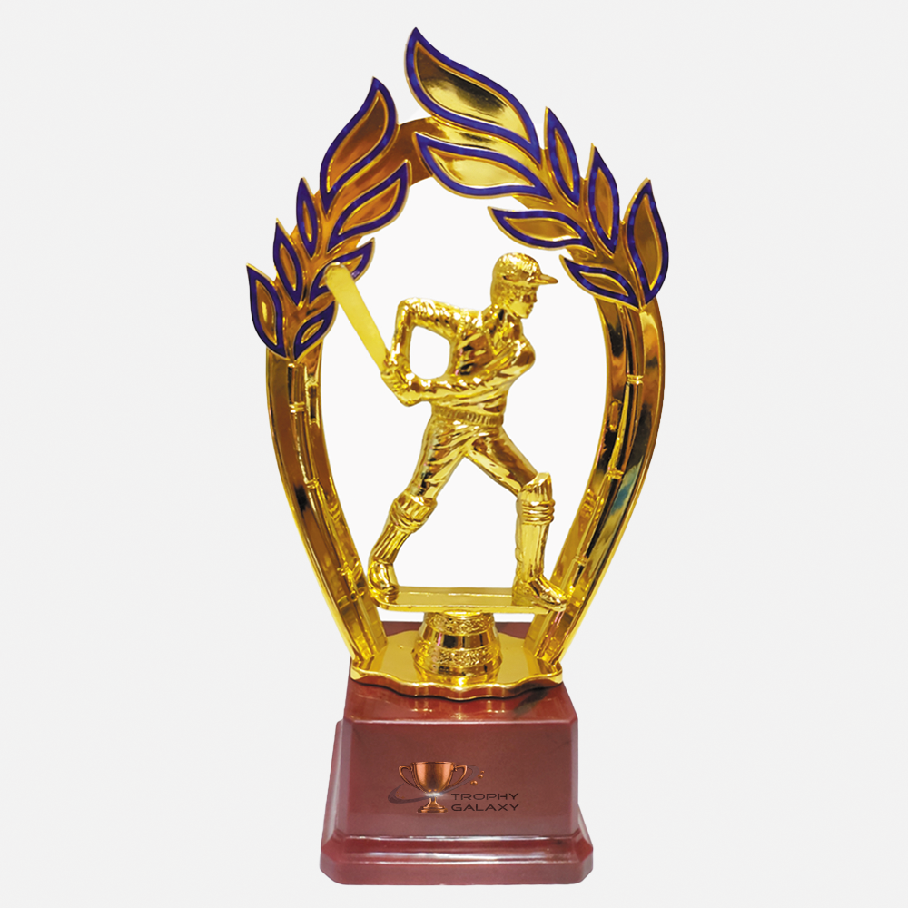 Trophy Galaxy Premium 11.5 Inch Gold Cricket Trophy – Elegant Award for Tournaments & Achievements