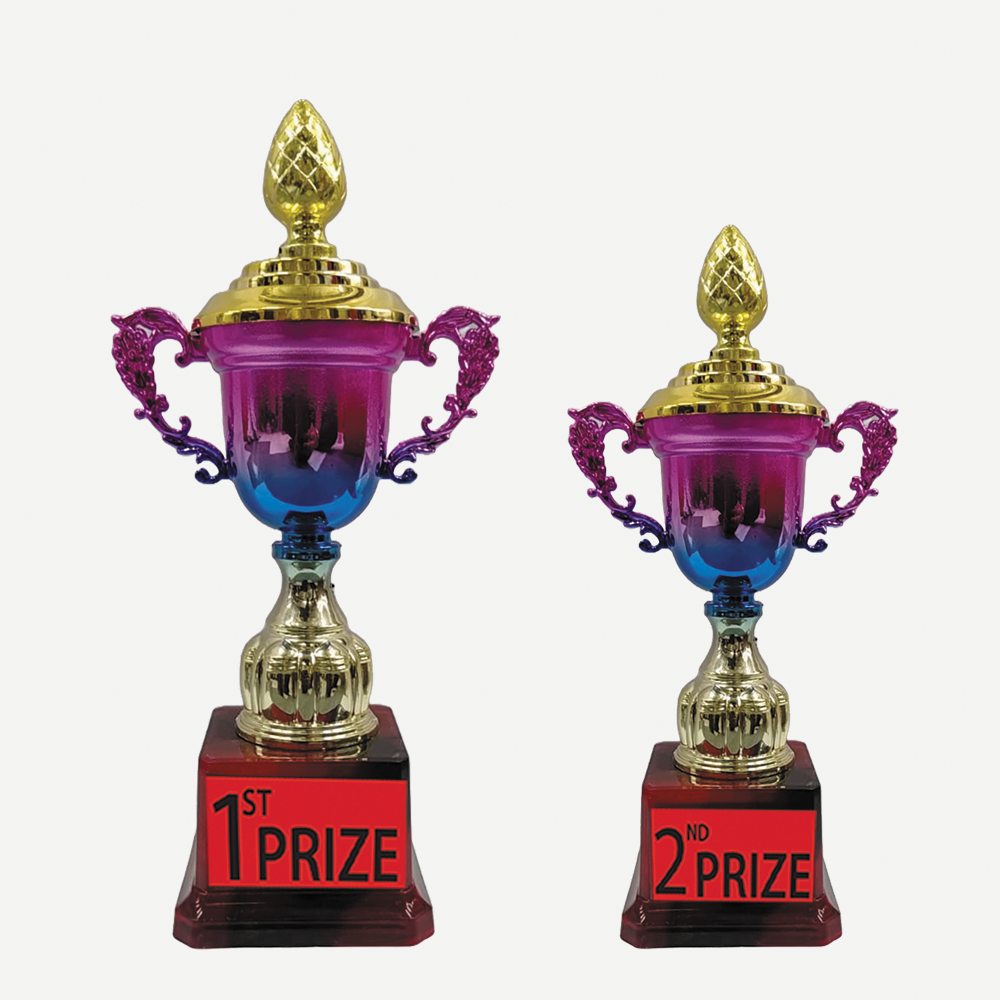 Trophy Galaxy Premium Metal-Fiber Cup Trophy Set – 11 Inch & 10 Inch, 1st Prize & 2nd Prize Awards