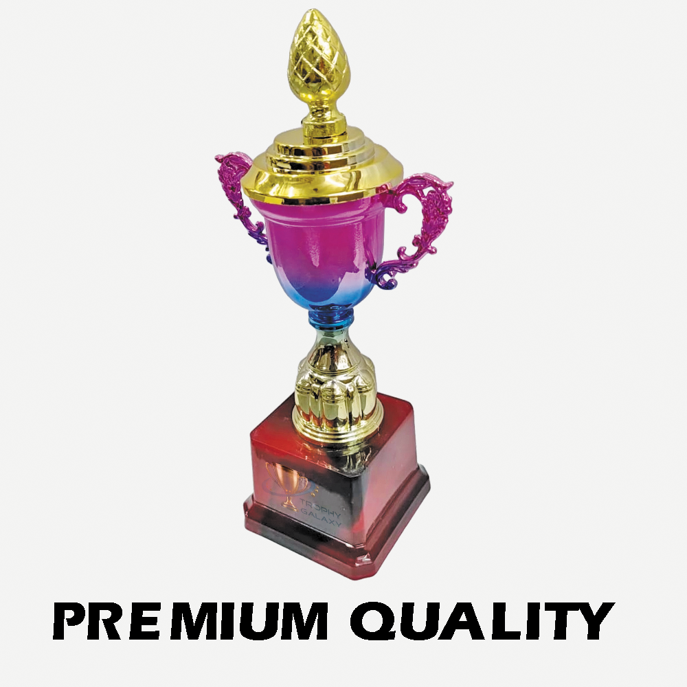 Trophy Galaxy Premium Metal-Fiber Cup Trophy Set – 11 Inch & 10 Inch, 1st Prize & 2nd Prize Awards