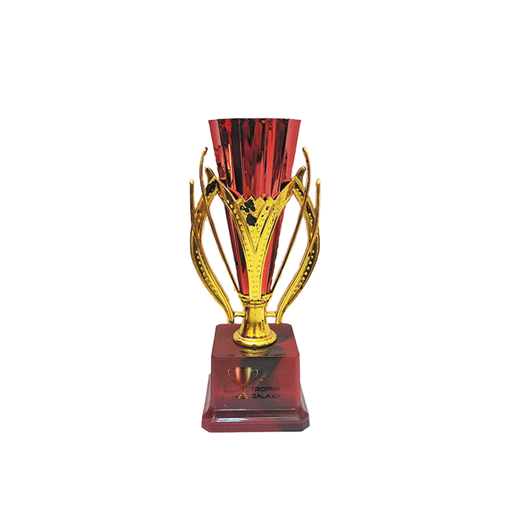 Trophy Galaxy Red Cone Trophy in three sizes: 8 inch, 8.5 inch & 9 inch to suit different levels of recognition.