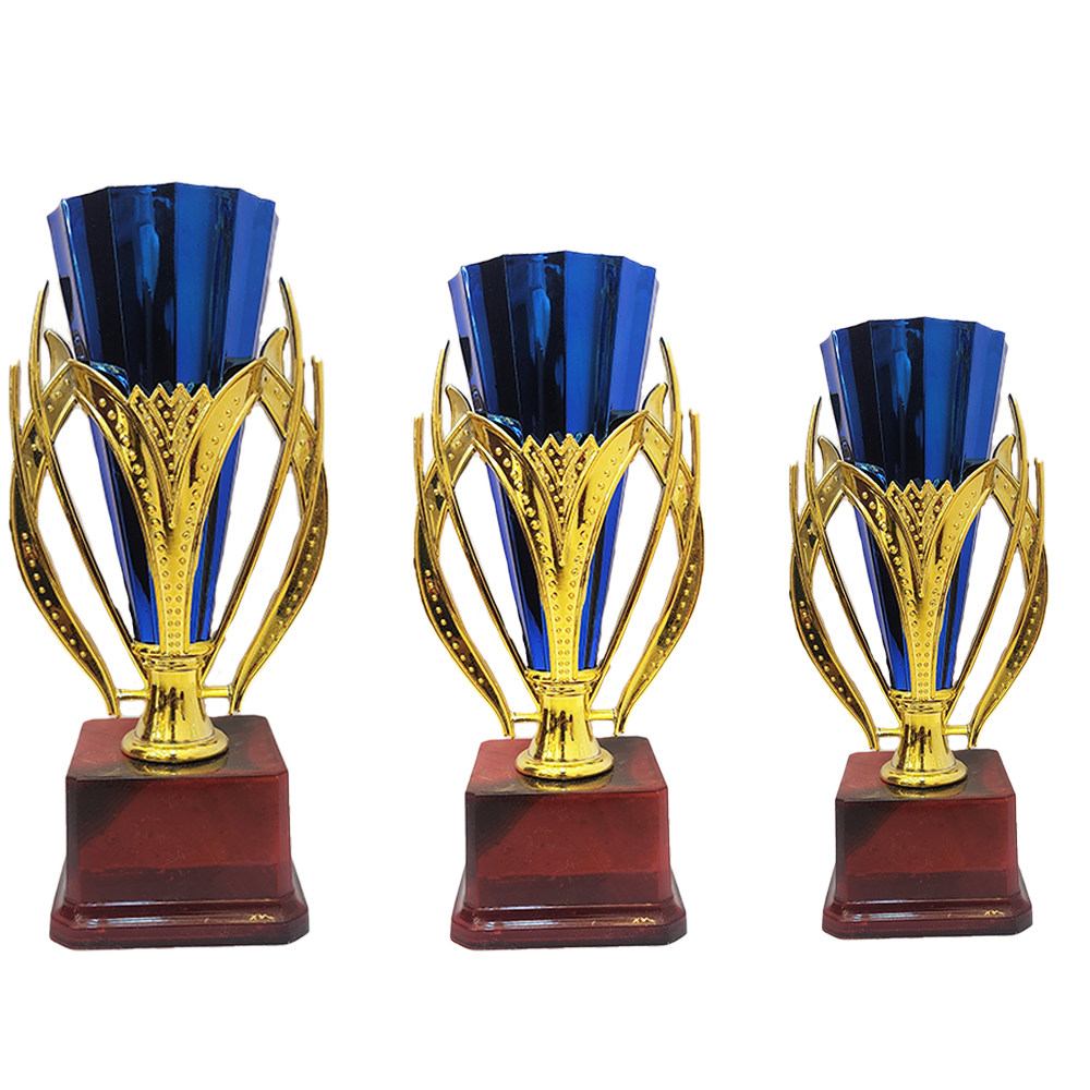 Trophy Galaxy Red Cone Trophy in three sizes: 8 inch, 8.5 inch & 9 inch to suit different levels of recognition.