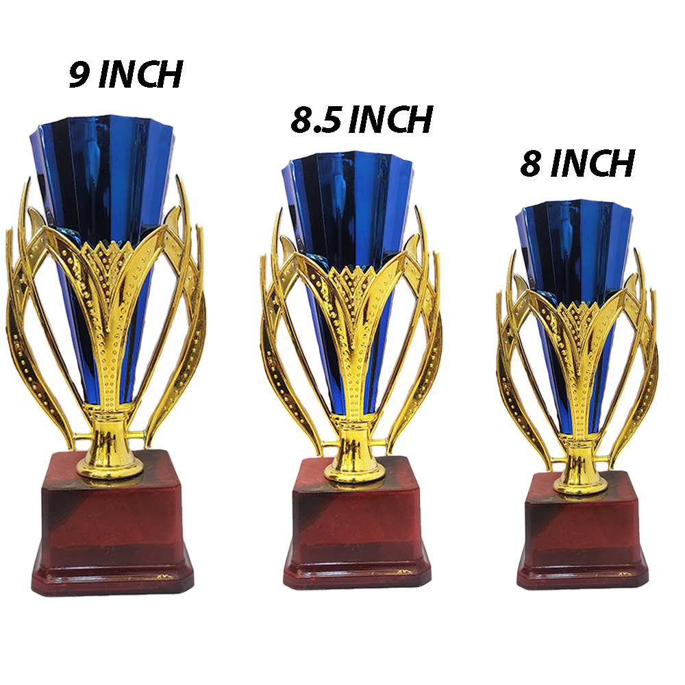 Trophy Galaxy Red Cone Trophy in three sizes: 8 inch, 8.5 inch & 9 inch to suit different levels of recognition.