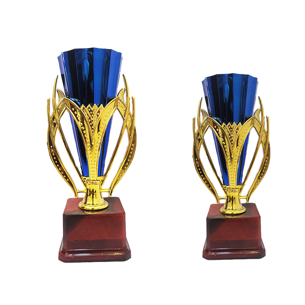 Trophy Galaxy Red Cone Trophy, designed to celebrate excellence and achievement in style.
